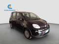 Fiat Panda 1.0 firefly hybrid s&s 70cv Nero - thumbnail 3