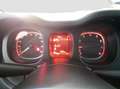 Fiat Panda 1.0 firefly hybrid s&s 70cv Nero - thumbnail 11
