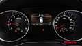 Kia Ceed / cee'd ceed 1,5 TGDI Silber Blau - thumbnail 14