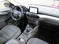 Ford Kuga Kuga Diesel 2.0 EcoBlue Hybrid ST-LINE X Blau - thumbnail 14
