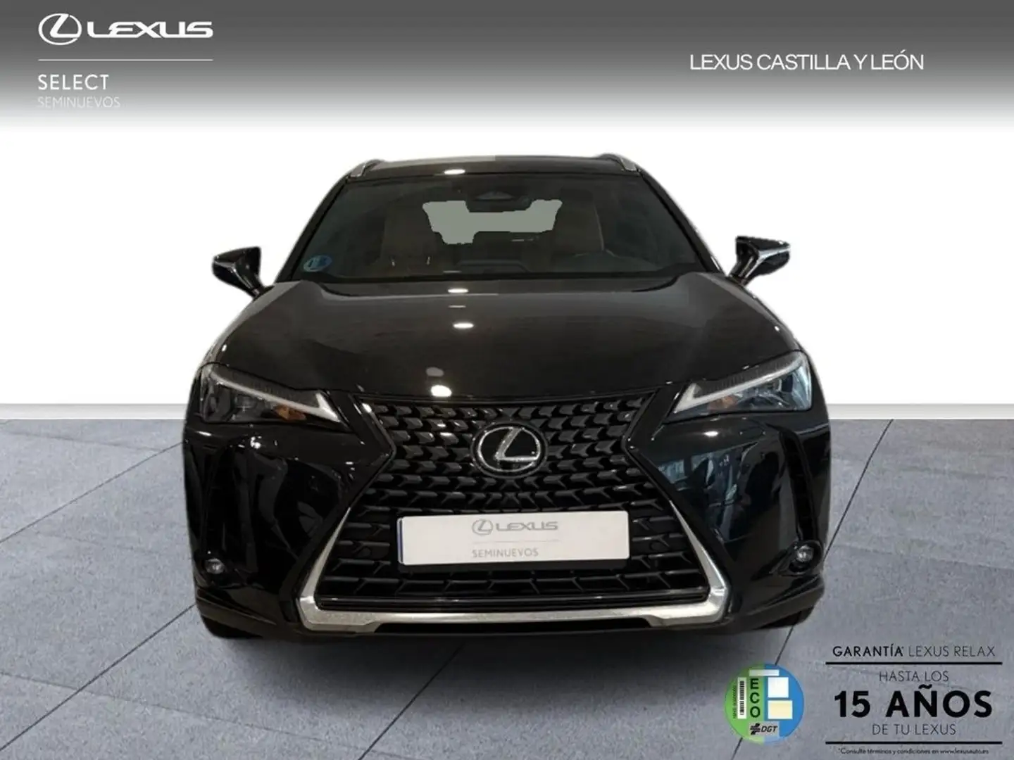 Lexus UX 300h + 2WD Schwarz - 2