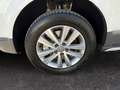 Volkswagen T6 Multivan DSG Kurz PanAmericana *Standheiz*ACC* Blanco - thumbnail 21