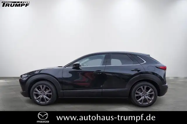 Mazda CX-30 AWD SELECTION Leder MATRIX LED 18`Zoll 360°Kamera