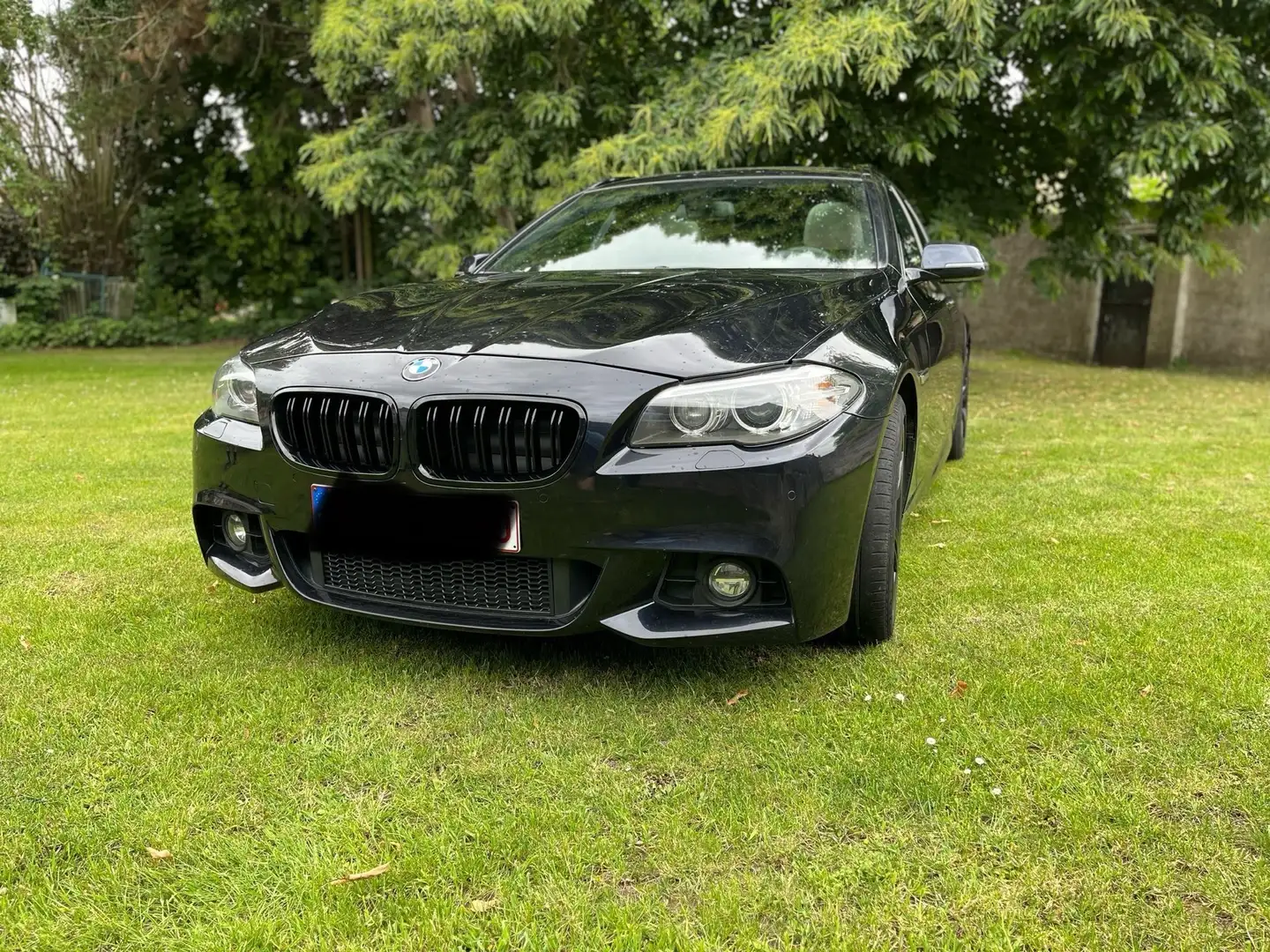 BMW 520 520d Touring Aut. Luxury Line Bleu - 2