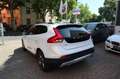 Volvo V40 Cross Country V40 CrossCountry Summum  Panorama Leder Bi-Xenon Biały - thumbnail 2