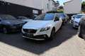 Volvo V40 Cross Country V40 CrossCountry Summum  Panorama Leder Bi-Xenon Biały - thumbnail 4