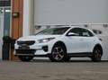 Kia XCeed 1.6 GDi PHEV DynamicPlusLine | Modeljaar 2022 Blanco - thumbnail 47