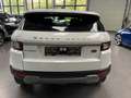 Land Rover Range Rover Evoque 2.0 D150 AWD Blanc - thumbnail 3