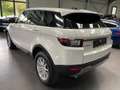 Land Rover Range Rover Evoque 2.0 D150 AWD Blanc - thumbnail 4