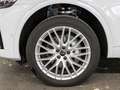 Audi Q5 S line 55 TFSI e quattro S tronic Weiß - thumbnail 9