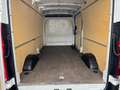 Maxus Deliver 9 Service.Neu Netto.12176€ Deliver9 Transporter Blanc - thumbnail 13