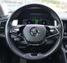 Skoda Kodiaq Kodiaq 2,0TDI SCR 4x4 DSG LED AHV VIRTUAL 1.BESITZ Blau - thumbnail 8