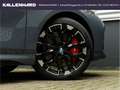 BMW 135 xDrive-M-Sport Pro-Pano-Harman-Kardon-DrivingAssPl Grau - thumbnail 14