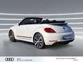 Volkswagen Beetle Cabriolet 1.4 TSI Club Xenon NAVI Leder 19" Weiß - thumbnail 5