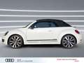 Volkswagen Beetle Cabriolet 1.4 TSI Club Xenon NAVI Leder 19" Weiß - thumbnail 3