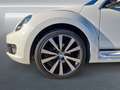 Volkswagen Beetle Cabriolet 1.4 TSI Club Xenon NAVI Leder 19" Weiß - thumbnail 7