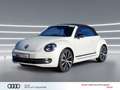 Volkswagen Beetle Cabriolet 1.4 TSI Club Xenon NAVI Leder 19" Weiß - thumbnail 1