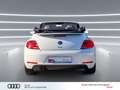 Volkswagen Beetle Cabriolet 1.4 TSI Club Xenon NAVI Leder 19" Weiß - thumbnail 6
