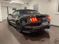 Ford Mustang GT 5.0 V8 Cabrio Premium/Sitzhz+bel/Navi Black - thumbnail 5