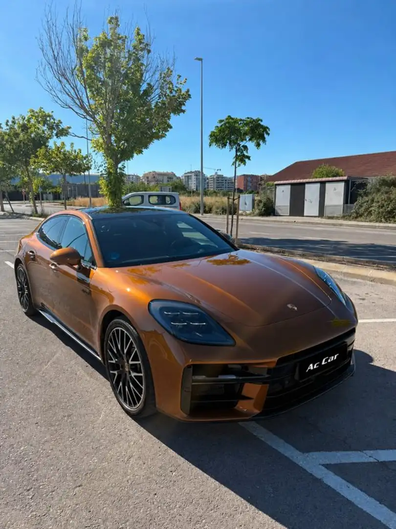 Porsche Panamera 4 E-Hybrid - 1