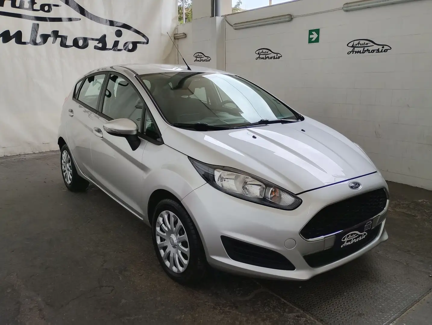Ford Fiesta Fiesta 1.4 5 porte Bz.- GPL Black & White Edition Gris - 2