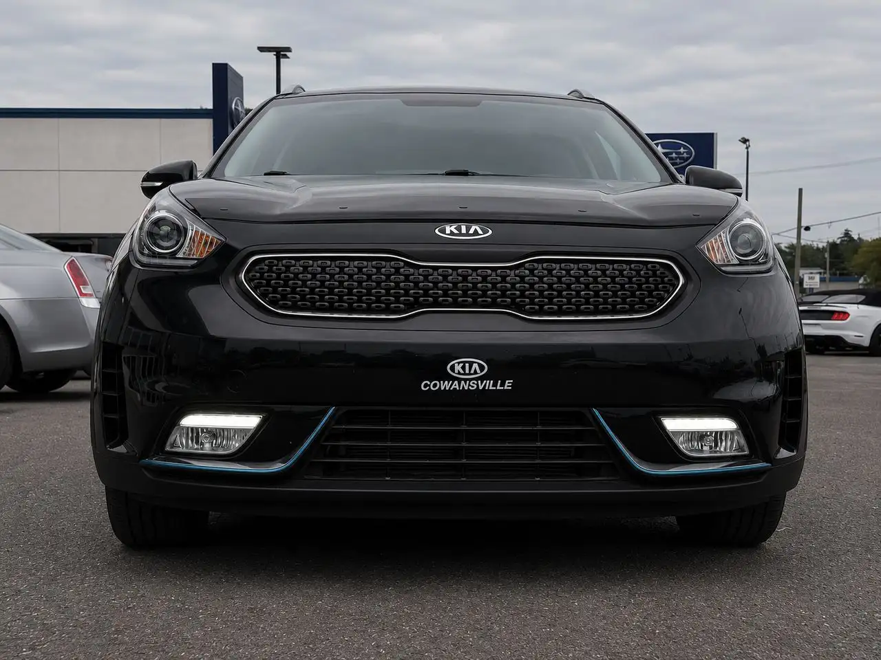 Kia Niro photo Kia Niro