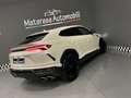 Lamborghini Urus 4.0cc V8 650cv Akrapovic FullCarbon **VENDUTA** - thumbnail 9