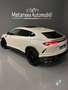 Lamborghini Urus 4.0cc V8 650cv Akrapovic FullCarbon **VENDUTA** - thumbnail 5