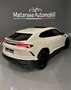 Lamborghini Urus 4.0cc V8 650cv Akrapovic FullCarbon **VENDUTA** - thumbnail 7