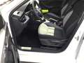 Skoda Kamiq 1.0TSI DSG Matrix AHK Navi SHZ Rear View ACC PDC Weiß - thumbnail 14