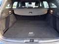 Ford Focus Focus SW 1.5 ecoblue ST-Line Design 115cv auto Blu/Azzurro - thumbnail 15