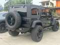 Jeep Wrangler Unlimited 3.6 V6 Rubicon auto KIT MONSTERS Zwart - thumbnail 9