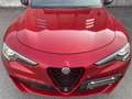 Alfa Romeo Stelvio 2.9 V6 Quadrifoglio Q4 510cv auto Tetto Kamera Led Rosso - thumbnail 22