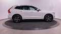 Volvo XC60 T8 AWD Recharge Plug in/R design/Safety pack Blanco - thumbnail 8