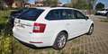 Skoda Octavia Octavia Wagon 1.5 Executive 130cv dsg Blanc - thumbnail 6