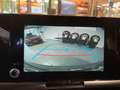 Toyota C-HR Toyota 1,8-l-Hybrid, Business Edition Grau - thumbnail 14