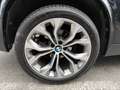 BMW X5 X5/xdrive30d/KM CERTIFICATI/TETTO PANORAMICO Nero - thumbnail 8