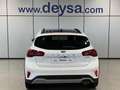 Ford Focus 1.0 Ecoboost MHEV Active X 155 Blanco - thumbnail 4