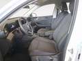 Volkswagen Tiguan 1.5 eTSI DSG Facelift Life *AHK*Kamera*LE Weiß - thumbnail 9