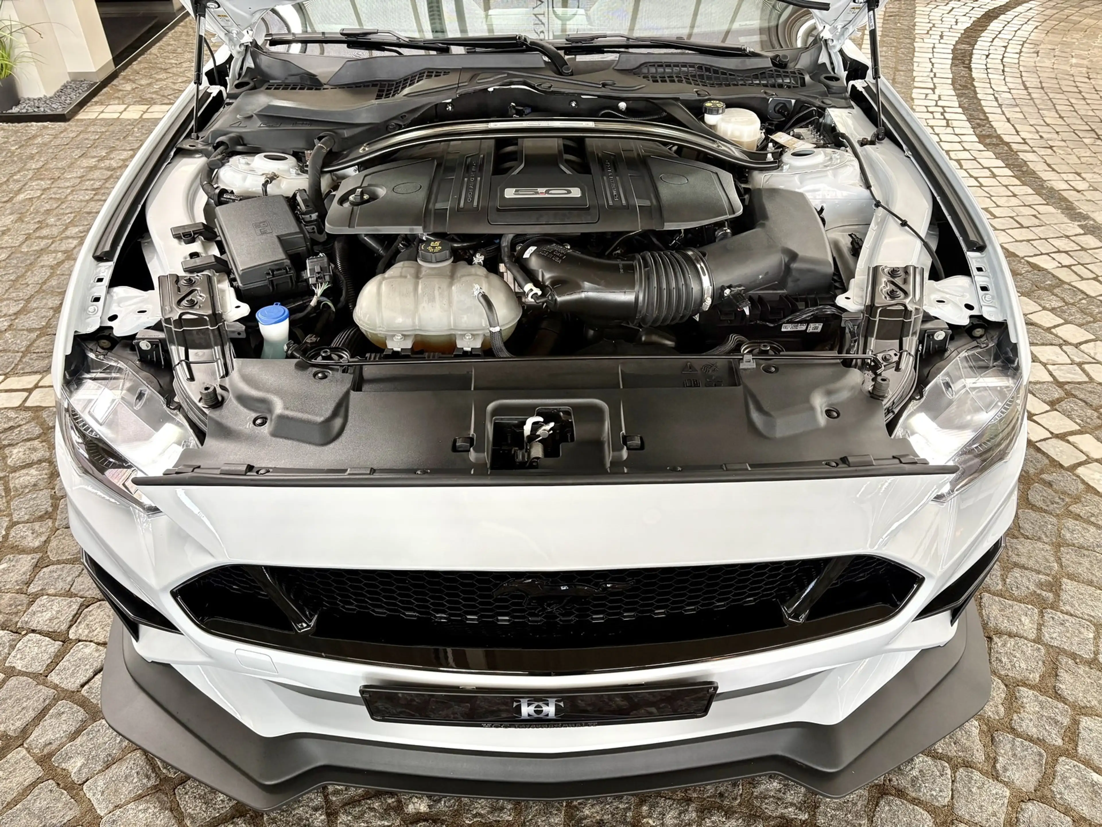 Ford Mustang GT V8 Fastback Aut.+ STX Fahrwerk — photo 23