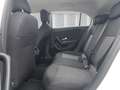 Mercedes-Benz A 200 d Aut. | RFK | SHZ | PDC | Navi | LMF | Klima | BT Weiß - thumbnail 11