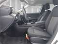 Mercedes-Benz A 200 d Aut. | RFK | SHZ | PDC | Navi | LMF | Klima | BT Weiß - thumbnail 10