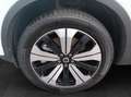 Volvo XC40 P8 Plus Recharge Cam/Standhzg./Wärmepumpe Weiß - thumbnail 15