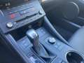 Lexus RC 300h F-Sport Blau - thumbnail 11