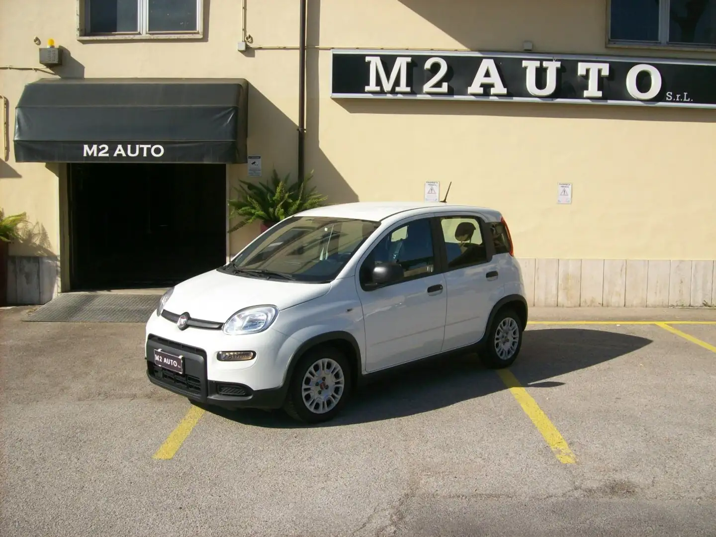 Fiat Panda 1.0 firefly hybrid (Red) s Bianco - 1
