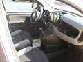 Fiat Panda 1.0 firefly hybrid (Red) s Bianco - thumbnail 7