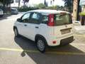 Fiat Panda 1.0 firefly hybrid (Red) s Bianco - thumbnail 6