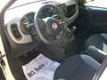 Fiat Panda 1.0 firefly hybrid (Red) s Bianco - thumbnail 4