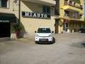 Fiat Panda 1.0 firefly hybrid (Red) s Bianco - thumbnail 5