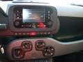 Fiat Panda 1.0 firefly hybrid (Red) s Bianco - thumbnail 8